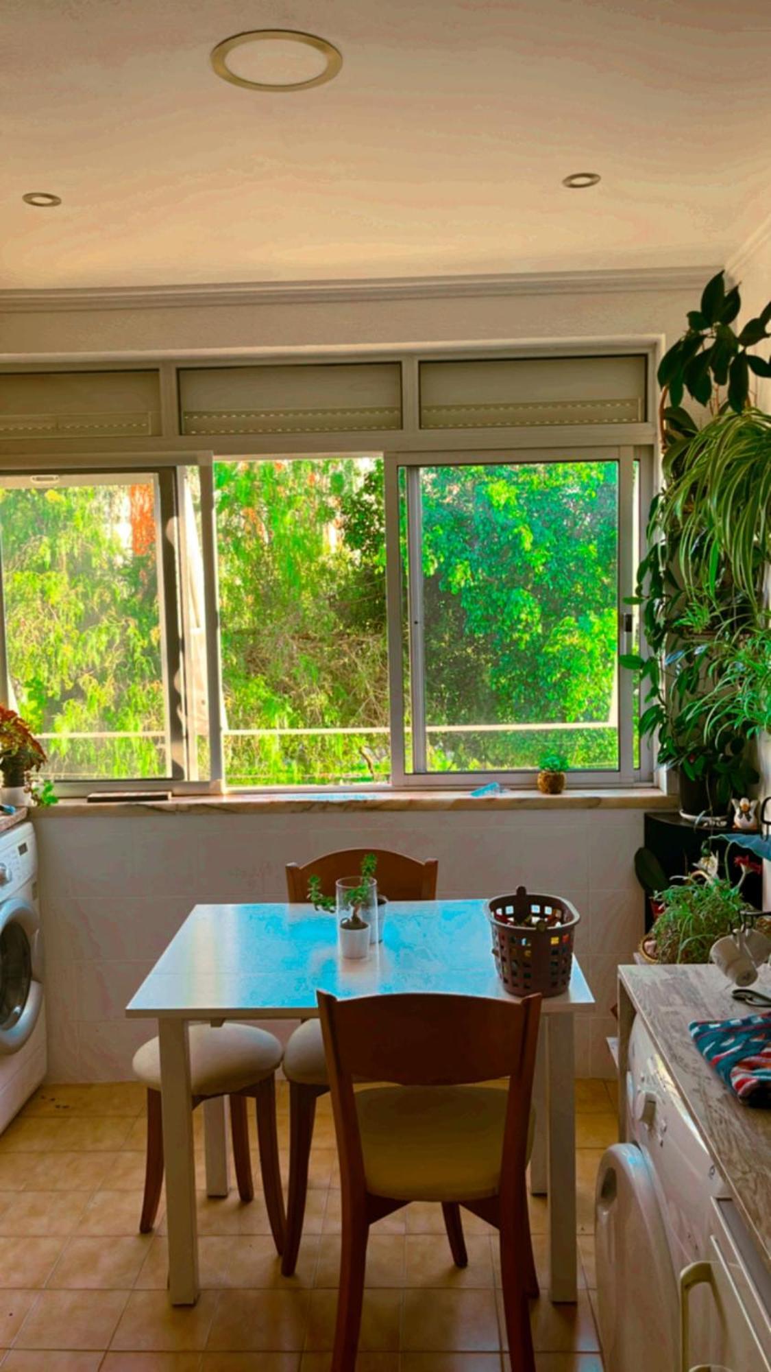 Apartamento Com Boa Luz E Localizacao Em Lisboa.アパートメント エクステリア 写真